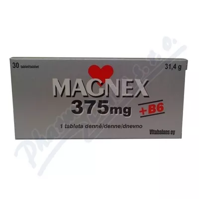 Magnex 375mg+B6 tbl.30
