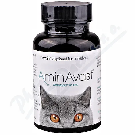 AminAvast kočka cps.60