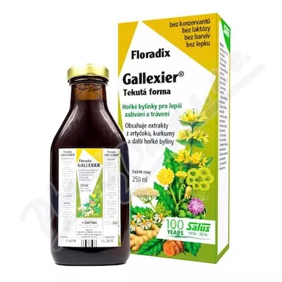 SALUS Floradix Gallexier 250ml