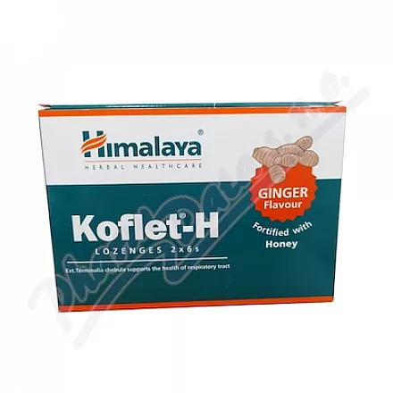 Himalaya Koflet H Ginger past.12