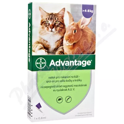 Advantage 80mg big cats+rabbits spot-on 1x0,8ml