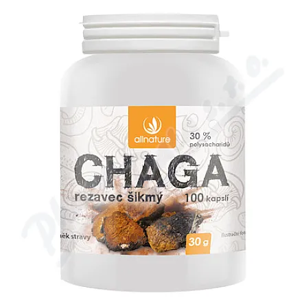 Allnature Chaga – grzyb chaga, 100 kapsułek