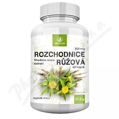 Allnature Rozchodnice Rhodiola Rosea 500mg cps.60