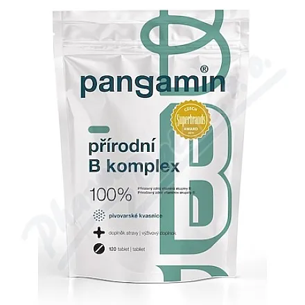 Pangamin přírodní B komplex tbl.120