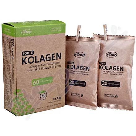 Vitar Kolagen EKO cps.60