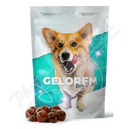 Geloren dog S-M żywienie stawów tbl.60