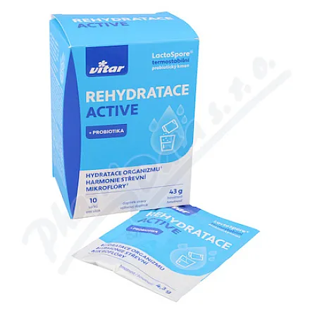 Vitar Rehydratace Active 10x4,3g