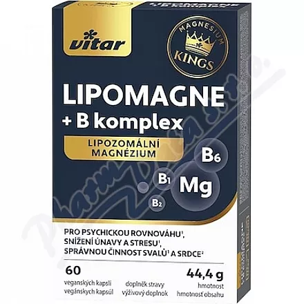 Vitar LIPOMAGNE+B komplex cps.60