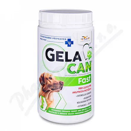Gelacan Fast 500g