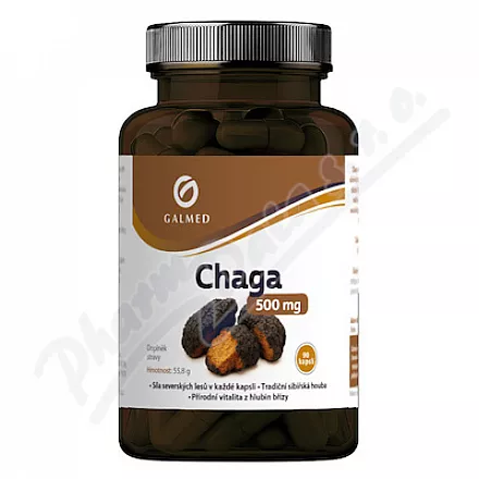 Chaga 500mg cps.90 Galmed