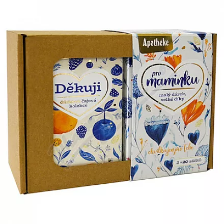 Apotheke Pro maminku dárková sada 2x20sáčků
