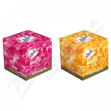 Linteo Papírové kapes.PREMIUM 3vrstvé bílé 60ks